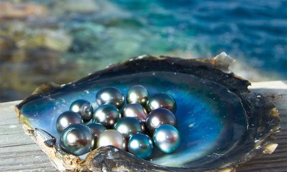 Précieuse Princesse Poerava (*)